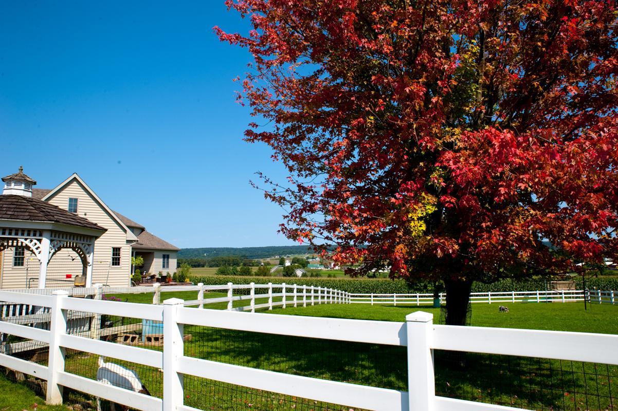 Acomodação com café da manhã  Country View Pa 3*