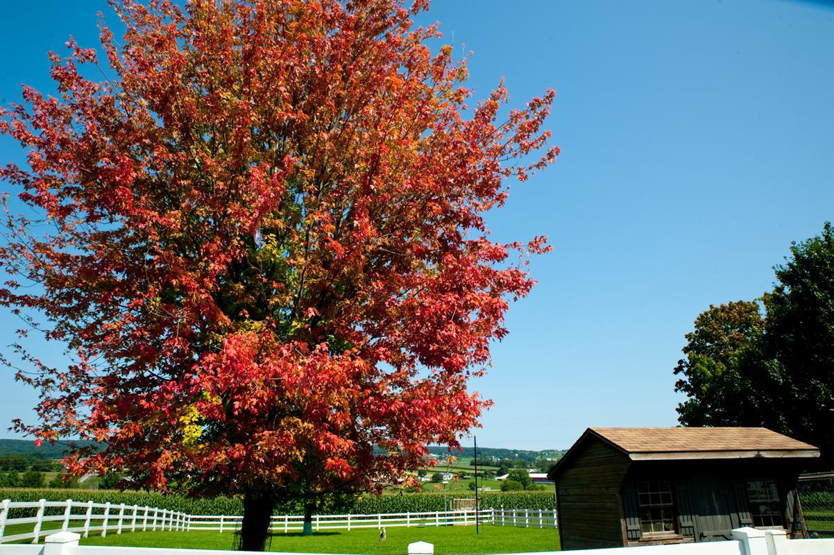 Country View Pa 3* Gap